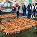 구룡포대게 이미지