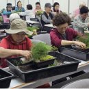 추억정원 이미지