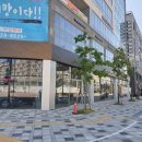 나성동_현대자동차 앞 이미지