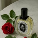 싱그러운 여름 플로리스트(5월) | [니치향수]딥디크 롬브로단로 - 비 오는 날 장미정원의 비밀, 40년째 사랑받는 이유