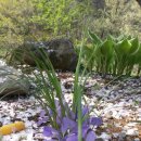 낙산계곡펜션 이미지