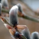 광장75호 이미지