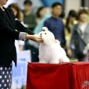 히든밸리켄넬 이미지