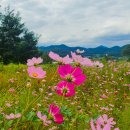 환경시설관리공사 달성사업소 이미지