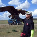 호텔 초원 이미지