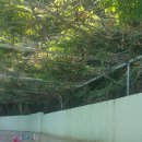 오마이랜드부산 이미지