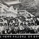 제주대학교사범대학부속고등학교