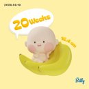산들파마 | 20주차-21주차 | 임산부 매직 파마, 부가부 폭스 당근, 기침 감기 코대원 포르테 시럽, 정밀 초음파 후기