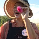 민화농장 이미지