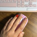 아트 손글씨 | 세나손네일 4월 이달의아트 디자인아트로 봄맞이 솔직후기(안산고잔동)