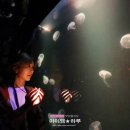 쉽고 예쁜 수채화(야간) | 전남 여수 가볼만한곳 언택트 여행지 국내 커플 여행