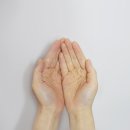 강서구 가양1동주민센터 만남의방 | 유기견 입양 절차와 준비 가이드 새 가족 찾기