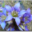 용담초교 이미지