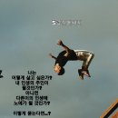 인셀덤퀸 - 완주군 | 인셀덤퀸