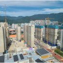 금나무 공인중개사사무소 이미지