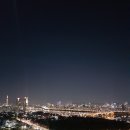 응봉산 티스토리