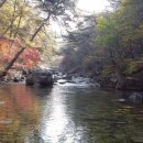 토월펜션 이미지