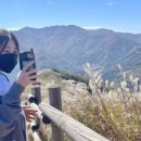 캠프에이프릴 이미지