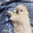 (주)부미