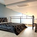 오션트리 이미지