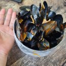 짬뽕1번지 이미지