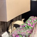 225 | 아이써마지 225샷 한달후기 효과 가격