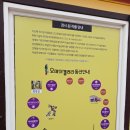 안면도갤러리 이미지