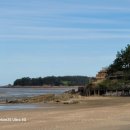 동호전자 이미지