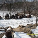 신덕농장 이미지