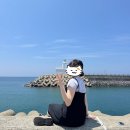 이호로 6길 | 튼튼이와 함께한 제주여행 3일차 (조식, 유니클로, 아베베 베이커리, 이호테우 말등대, 카페도리로)