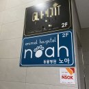 노아 동물병원 | 부산 북구 화명동 강아지 목욕 믿고 맡길 수 있는 ‘노아동물병원’ 후기