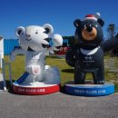 강릉시청 민원실(1층) 이미지