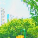 이현공원 어린이 물놀이장 화장실 이미지