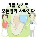 [건강] 건강과 피로를 풀어주는 귀 맛사지법 이미지