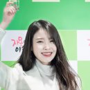 미니포차