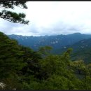 대영정기 이미지