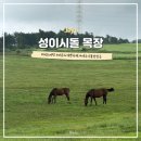 주식회사 제주알프스렌트카 | 제주 목장 카페 가볼만한곳 성이시돌목장 입장료 시간 젖소 포토존 주차