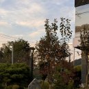 소팔백 - 김해시 | 화성 동오리 | 고기집 | 소팔백 - 착한 가격, 최고의 맛을 자랑하는 향남 소고기