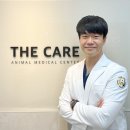 24시아마존동물병원 네이버블로그