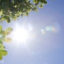 햇살 이미지