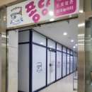 퐁당 키즈 이미지