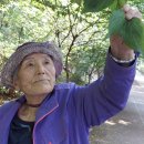 강서구민회관 앞 네이버블로그