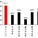 붉가시나무의 효능 및 부작용 이미지