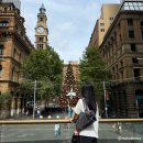 7tree빌딩 | 시드니 2일차｜썸머크리스마스 트리투어부터 새해 불꽃놀이까지