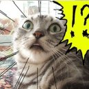 일상네일