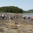 진동고현 이미지