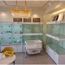 라이프독 강릉점 24시 강아지분양 고양이분양 이미지