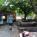 나리 신령수 이미지