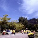 태조산관광지 이미지