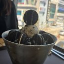 (주)키네틱랩 이미지